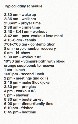 Illustration for article titled My Typical Daily Schedule